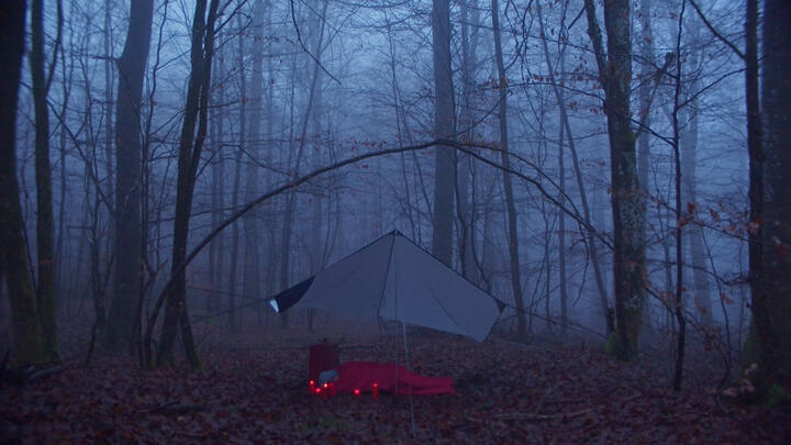 ttony + qu'hier (director & editor)