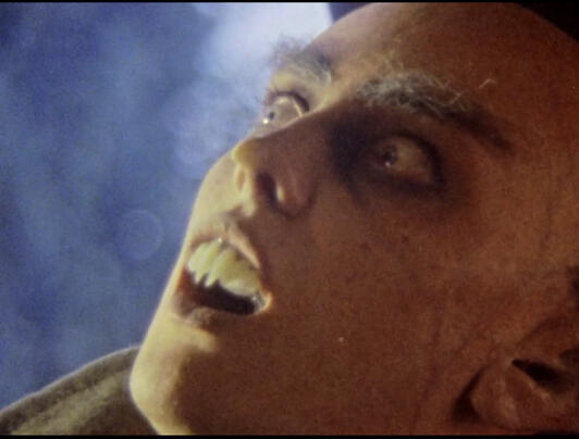 Famous Last Words (Super 8 Short Film) (DoP)